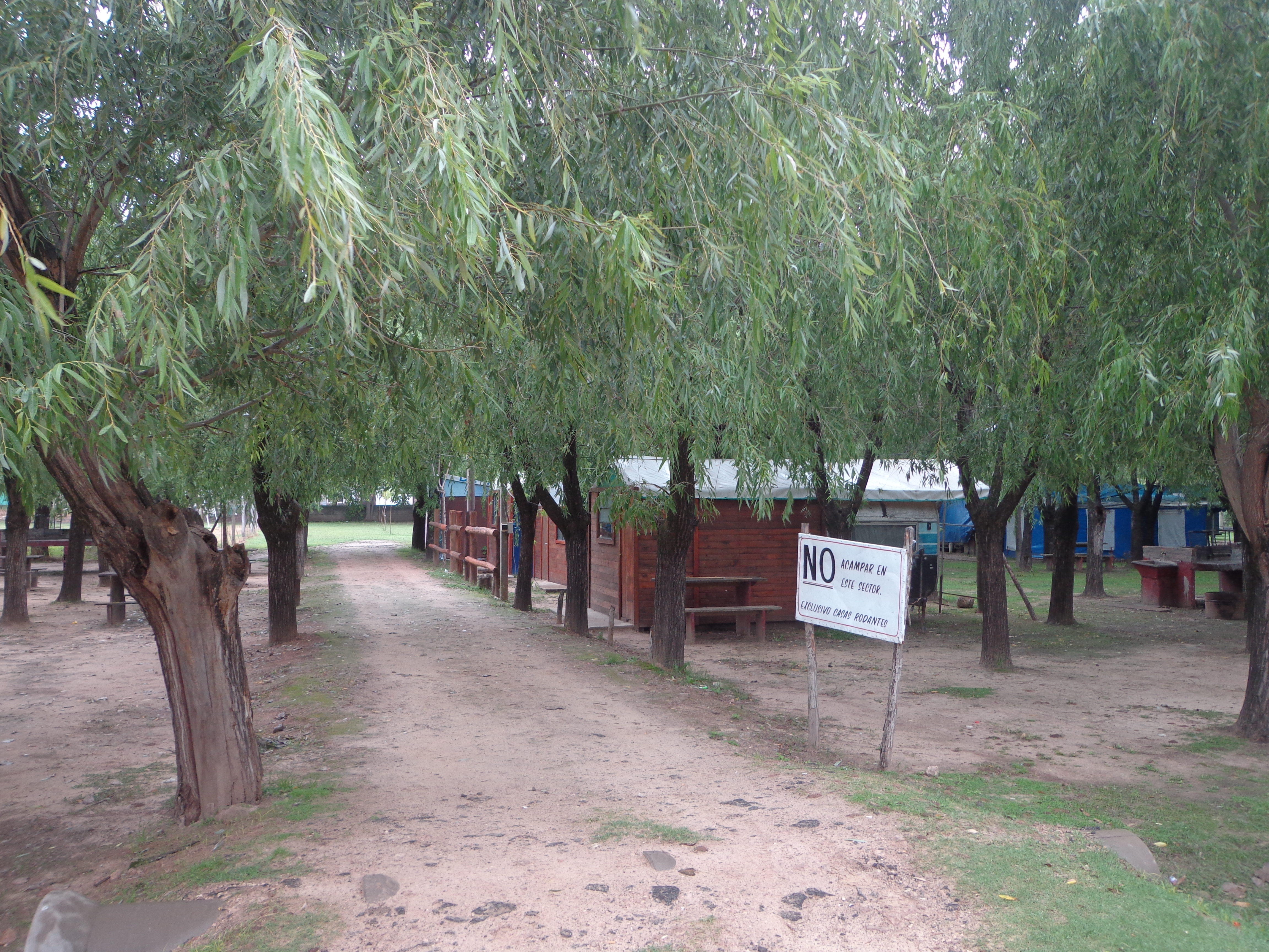 san pedro asado 016.jpg