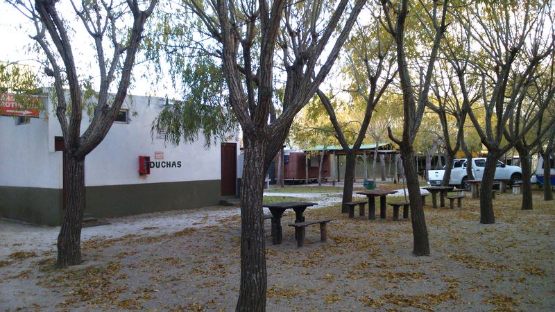 DSC_0005 [800x600].JPG