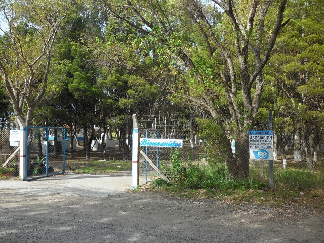 55- Camping de Mutual Bancaria donde acampamos 23-10-16 (3).JPG