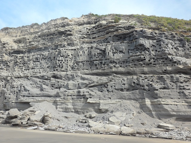 61- Costanera con los barrancos donde habitan los loros 23-10-16 (4).JPG