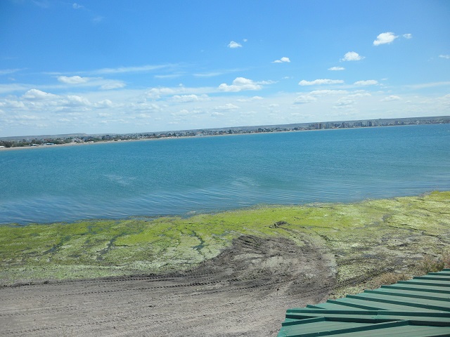 1 Costanera de Madryn 25-10-16 (6).JPG