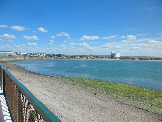 1 Costanera de Madryn 25-10-16 (7).JPG