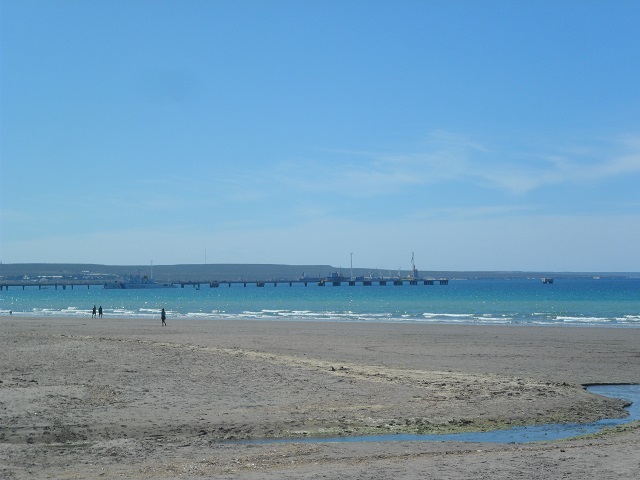 1 Costanera de Madryn 25-10-16 (11).JPG