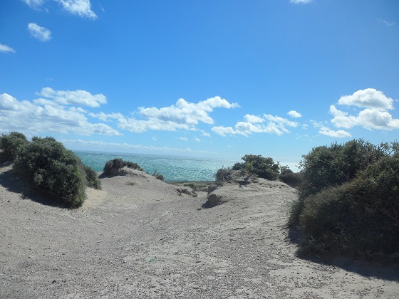 15- Vistas de la costa hacia el final del camino deLa Loma 26-10-16 (8).JPG