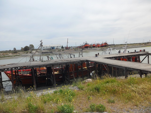 36- Visitando Rawson Puerto 28-10-16 (7).JPG