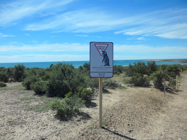 42- Señal de tránsito en el camino P Tombo 29-10-16.JPG