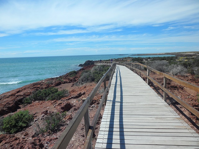 47- En la punta de Punta Tombo 29-10-16 (3).JPG