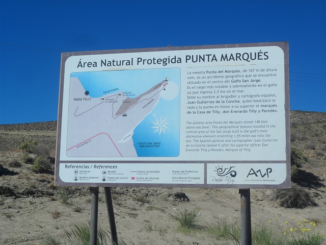 8a- En Punta del Marqués 1-11-16 (8).JPG