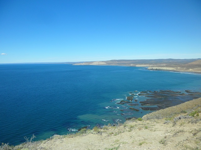 8b- En Punta del Marqués 1-11-16 (9).JPG