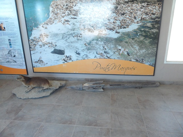 9- En el Centro de interpretación de El Marqués 1-11-16 (1).JPG