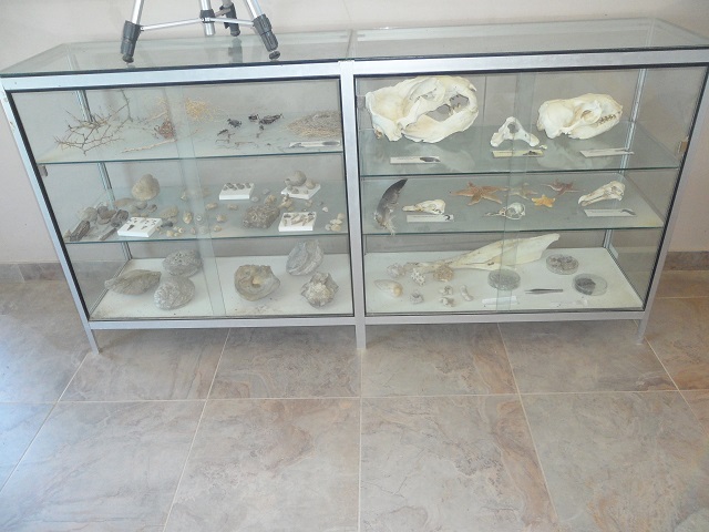 9- En el Centro de interpretación de El Marqués 1-11-16 (2).JPG