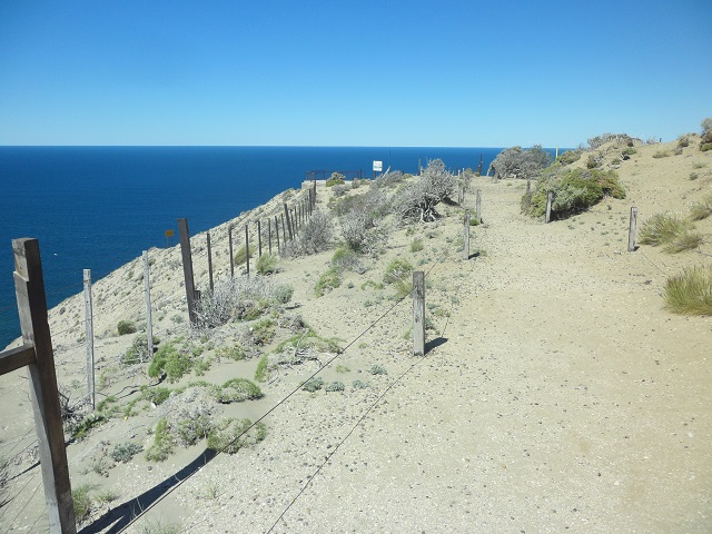 11- La punta de la punta del Marqués 1-11-16 (1).JPG