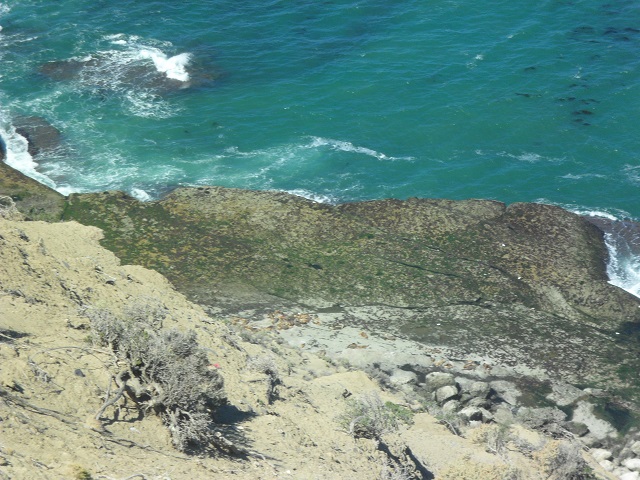12- Los lobos marinos están pero muy lejos. Los vimos con largavista 1-11-16.JPG