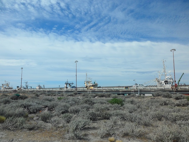 15- Recorriendo el puerto - P.DESEADO 4-11-16 (4).JPG