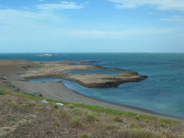 8- Camino al Cañadón Chico 5-11-16 (28).JPG