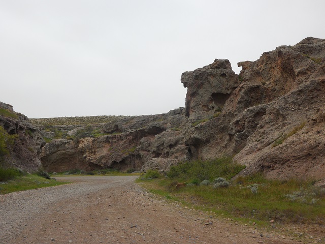 8- Camino al Cañadón Chico 5-11-16 (33).JPG