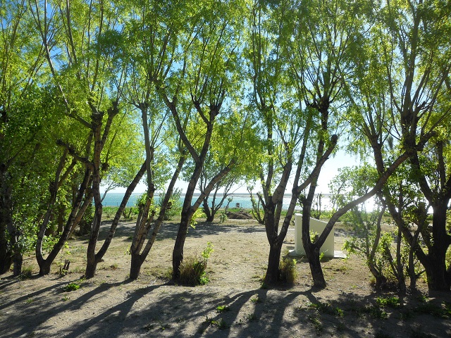 3- Camping Municipal P.S.JULIAN 5-11-16 (8).JPG