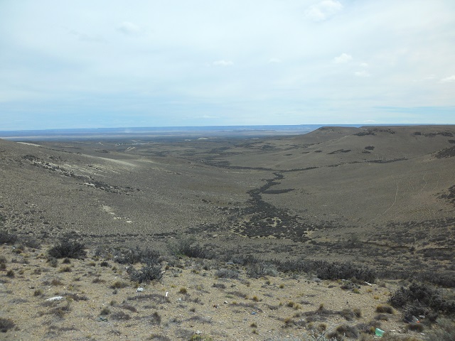 1- Camino a P.S.CRUZ -Bajo de San Julián- 7-11-16 (2).JPG