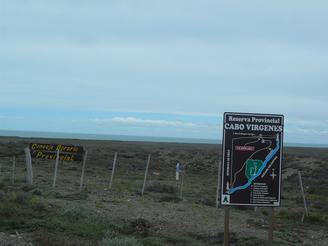 14d- Entrando alAREA PROTEGIDA CABO VIRGENES 12-11-16.JPG