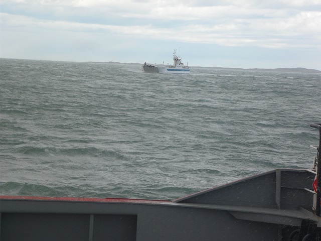 8- ESTRECHO DE NAGALLANES desde la balsa 13-11-16 (3).JPG