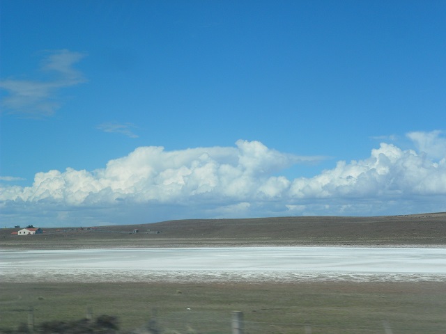 12- TIERRA DEL FUEGO chilena 13-11-16 (3).JPG