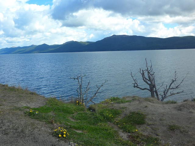 20- LAGO FAGNANO camino a Ushuaia 14-11-16 (3).JPG