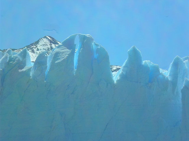 18- Vistas del GLACIAR desde el catamarán 19-11-16 (24).JPG