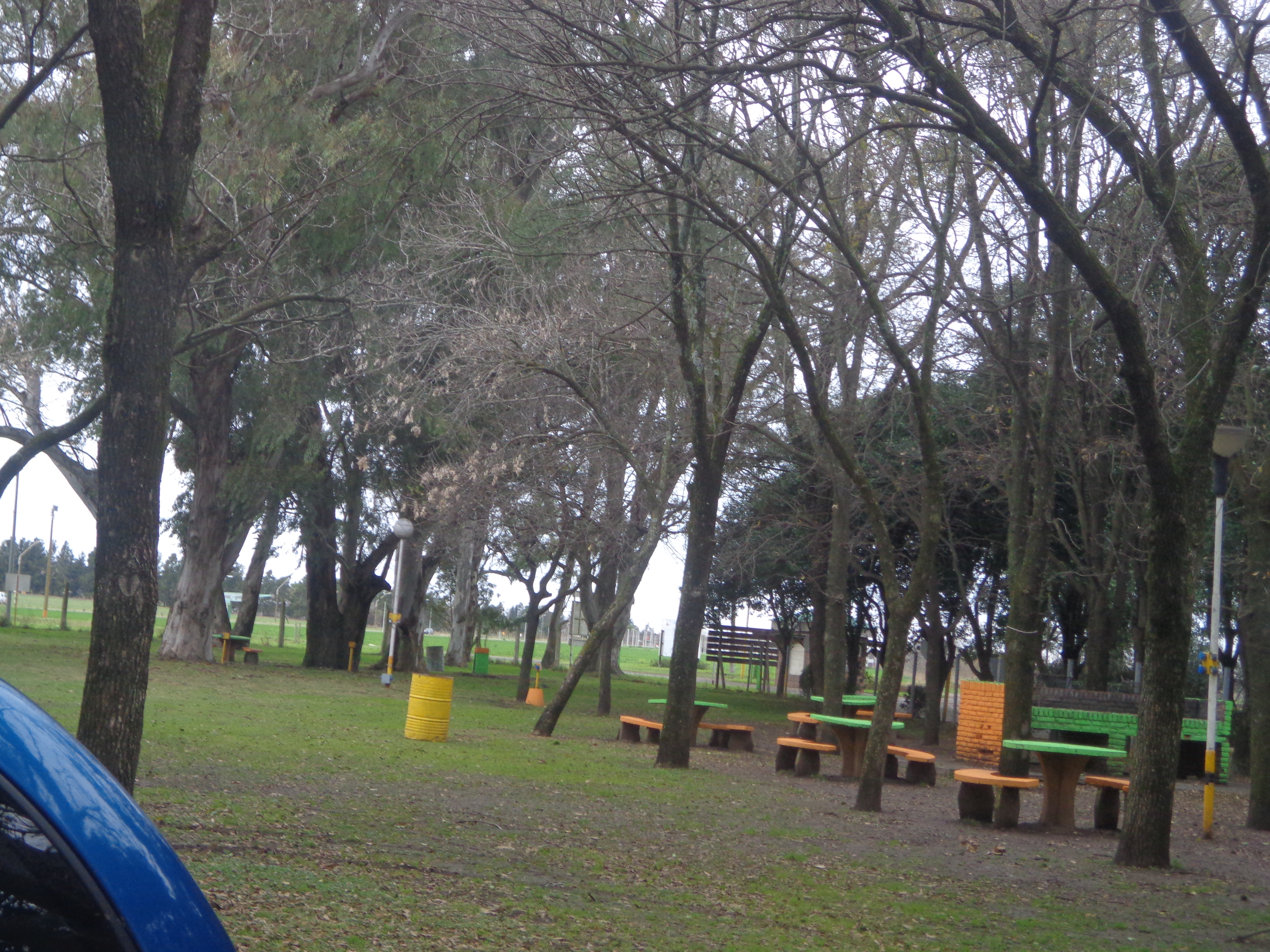 carcaraña 2017 004.jpg