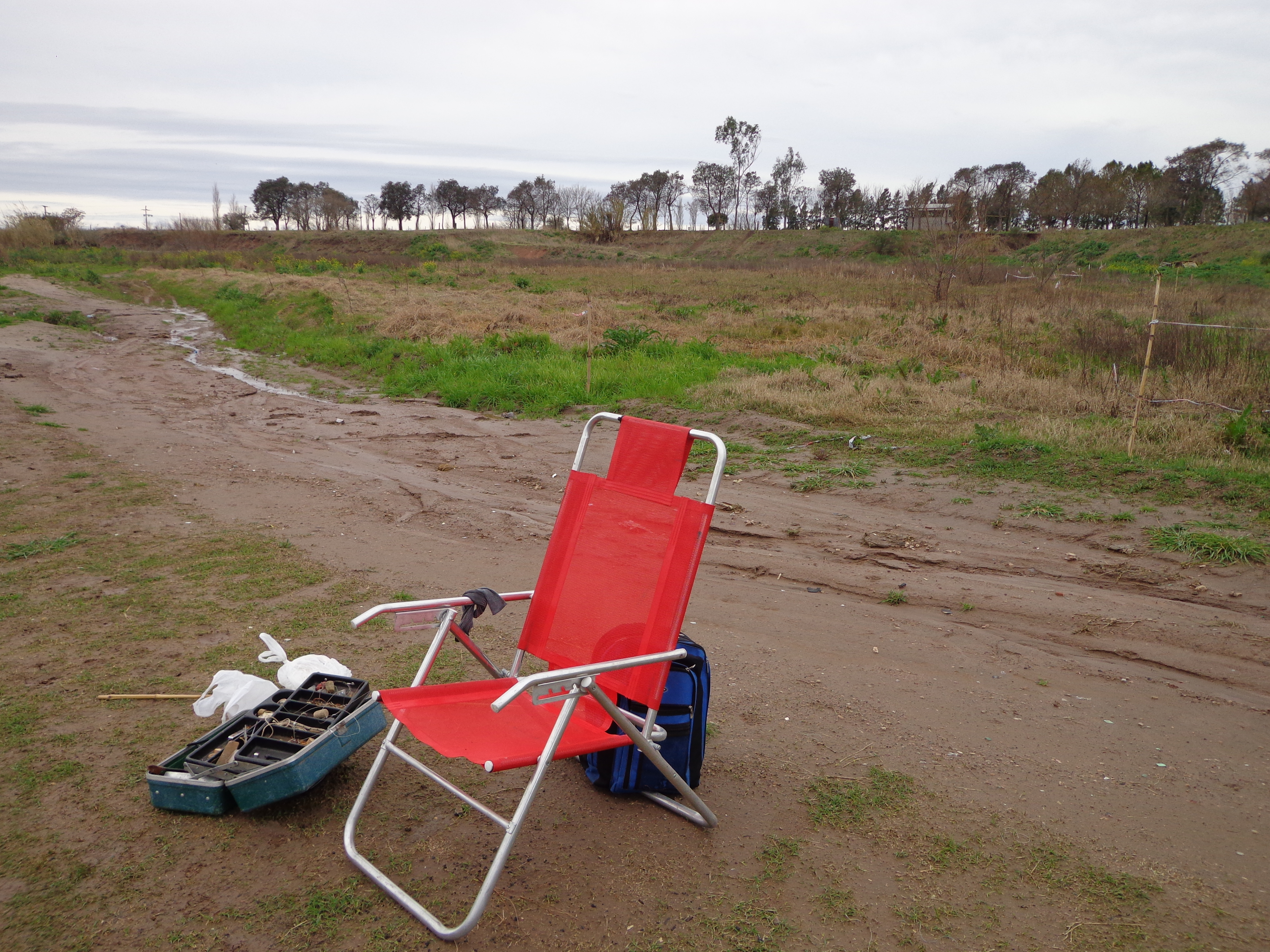 carcaraña 2017 011.jpg