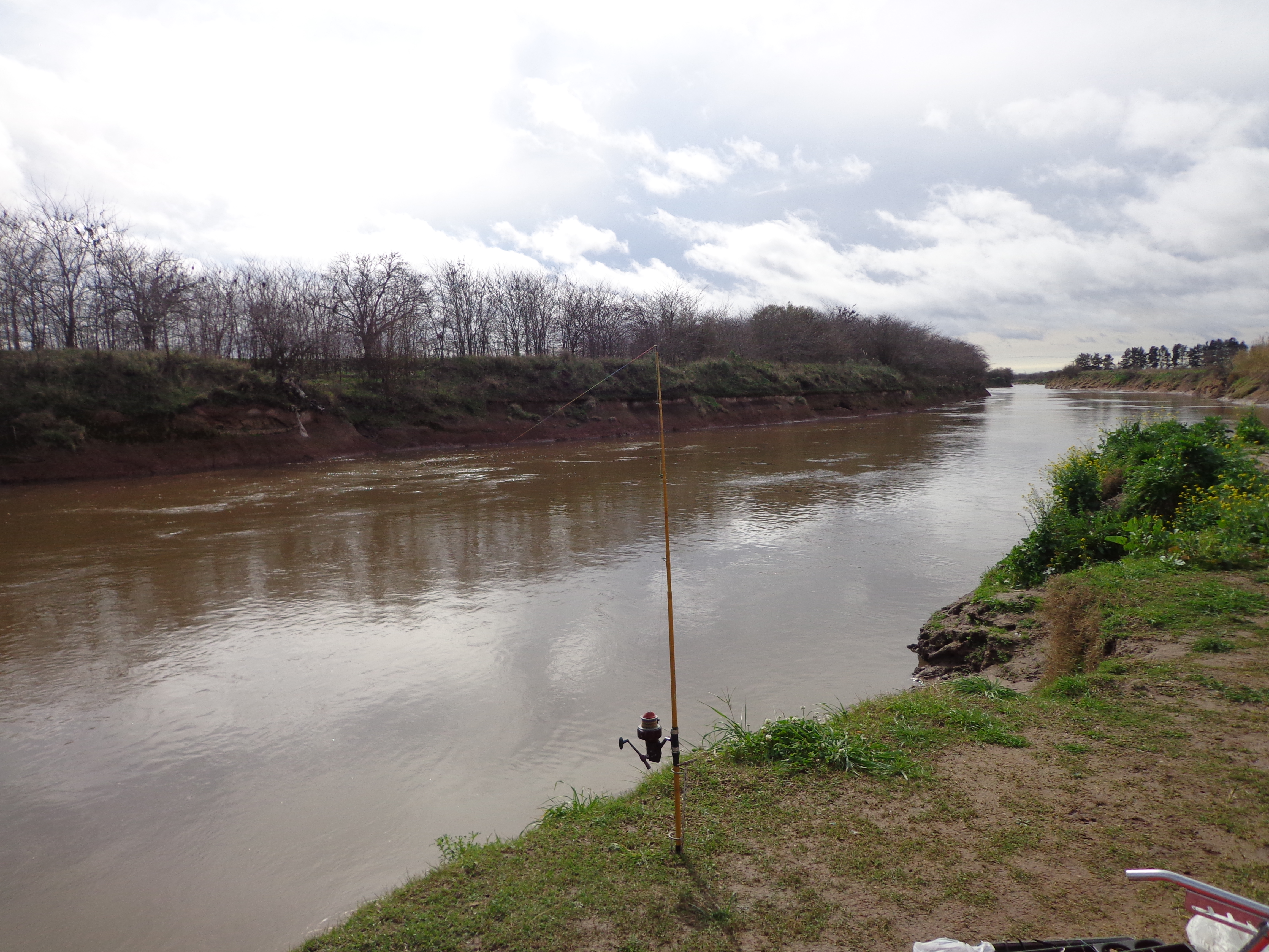 carcaraña 2017 013.jpg