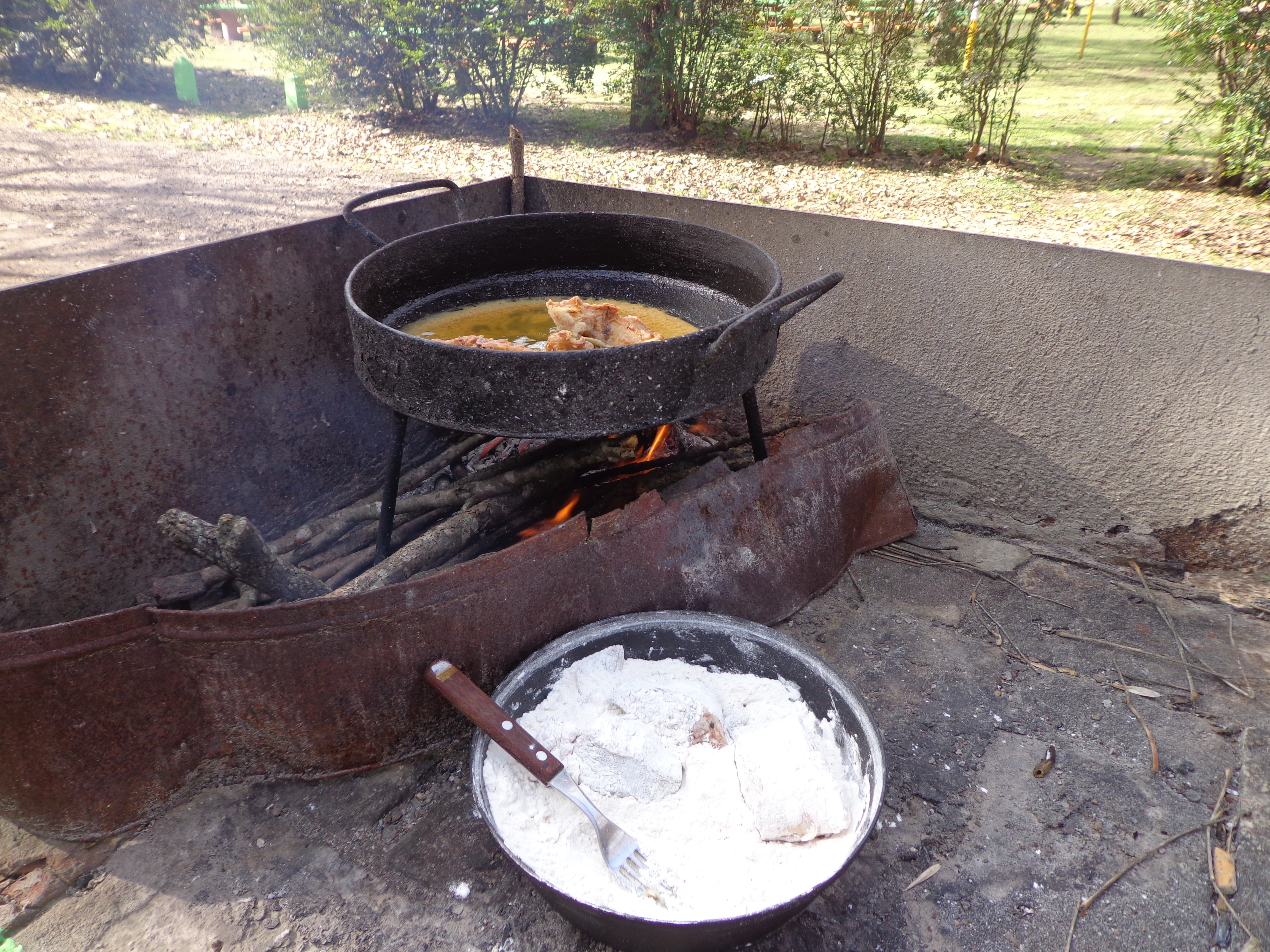 carcaraña 2017 023.jpg