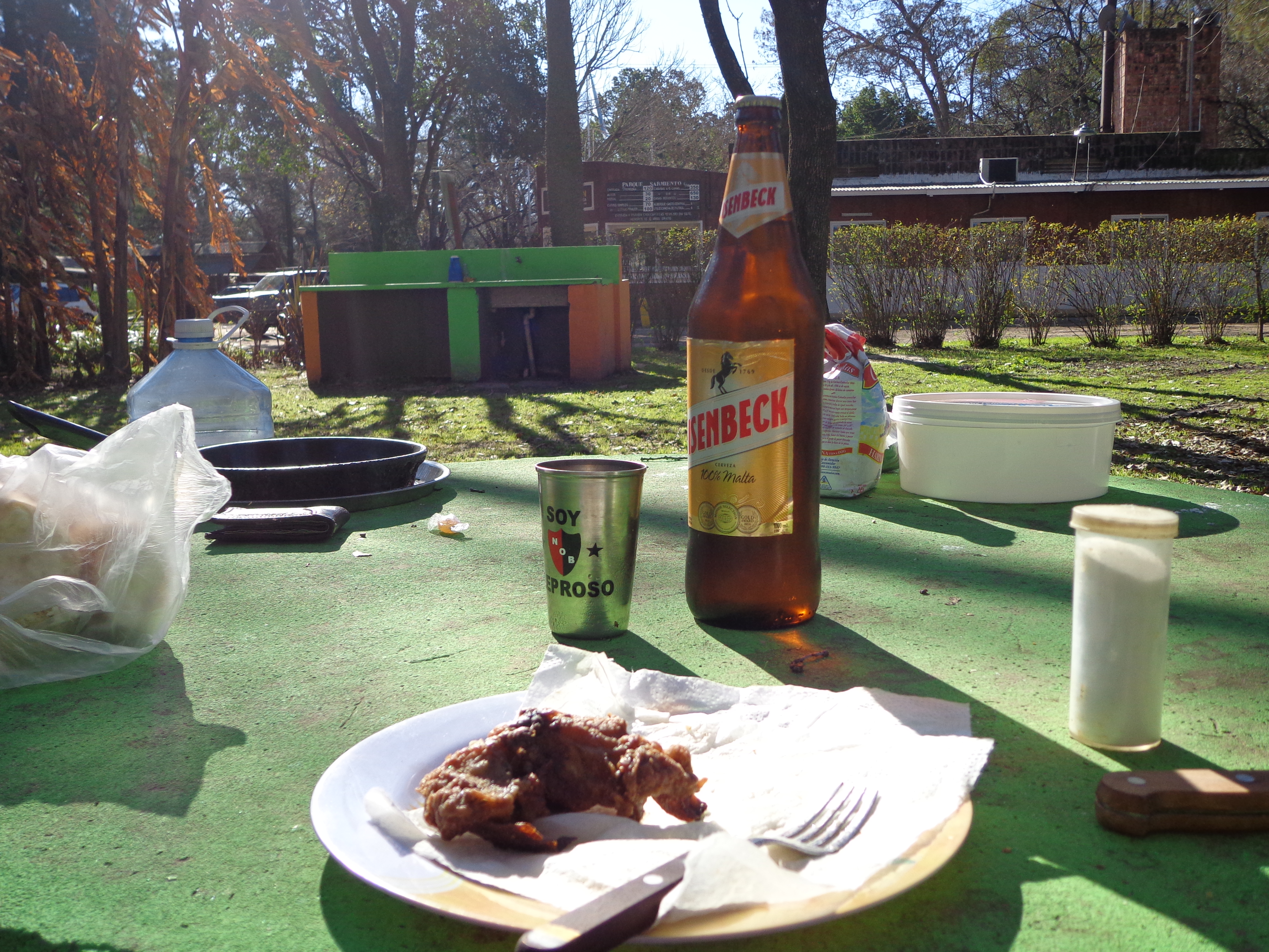 carcaraña 2017 024.jpg