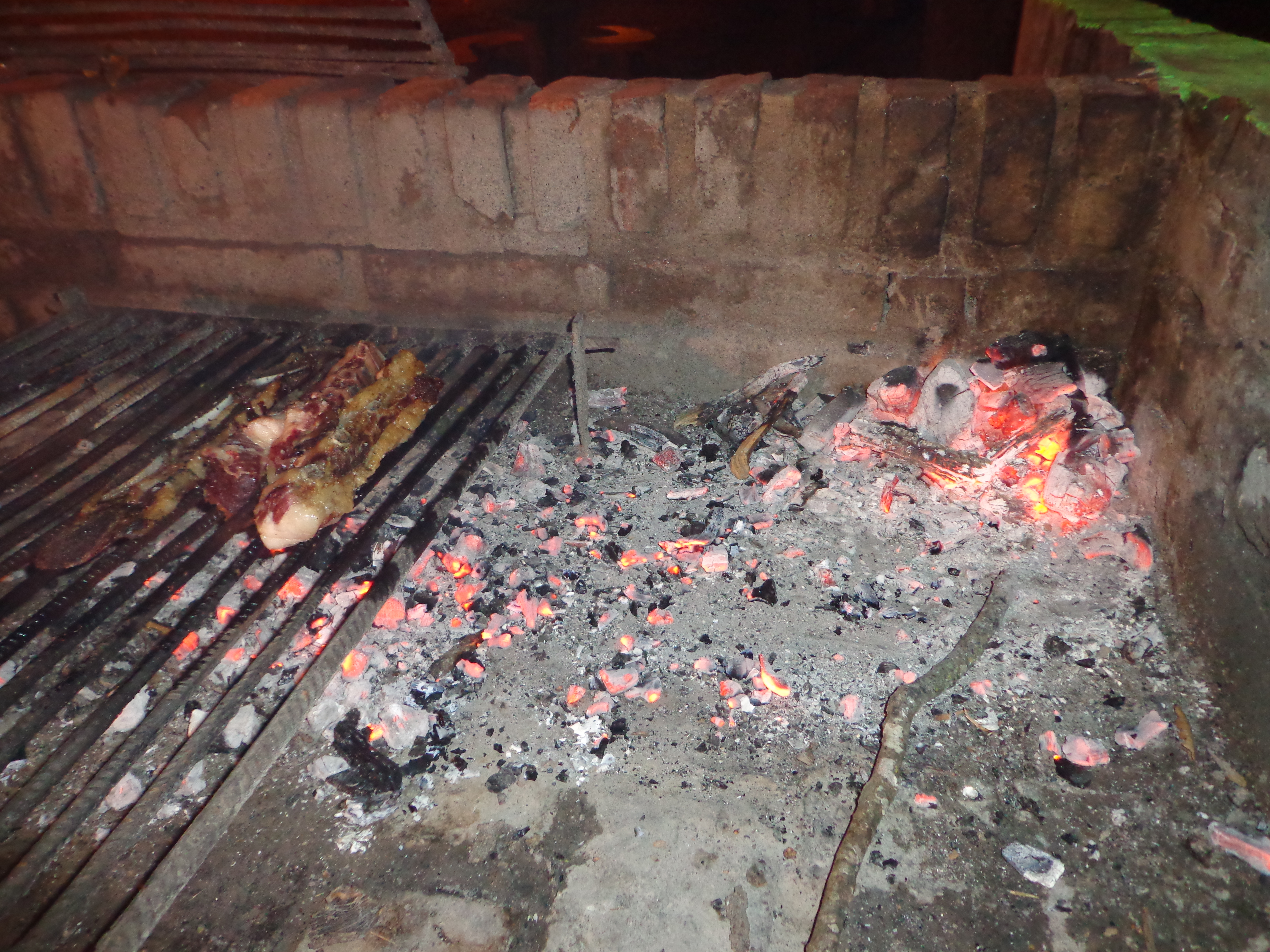 carcaraña 2017 057.jpg