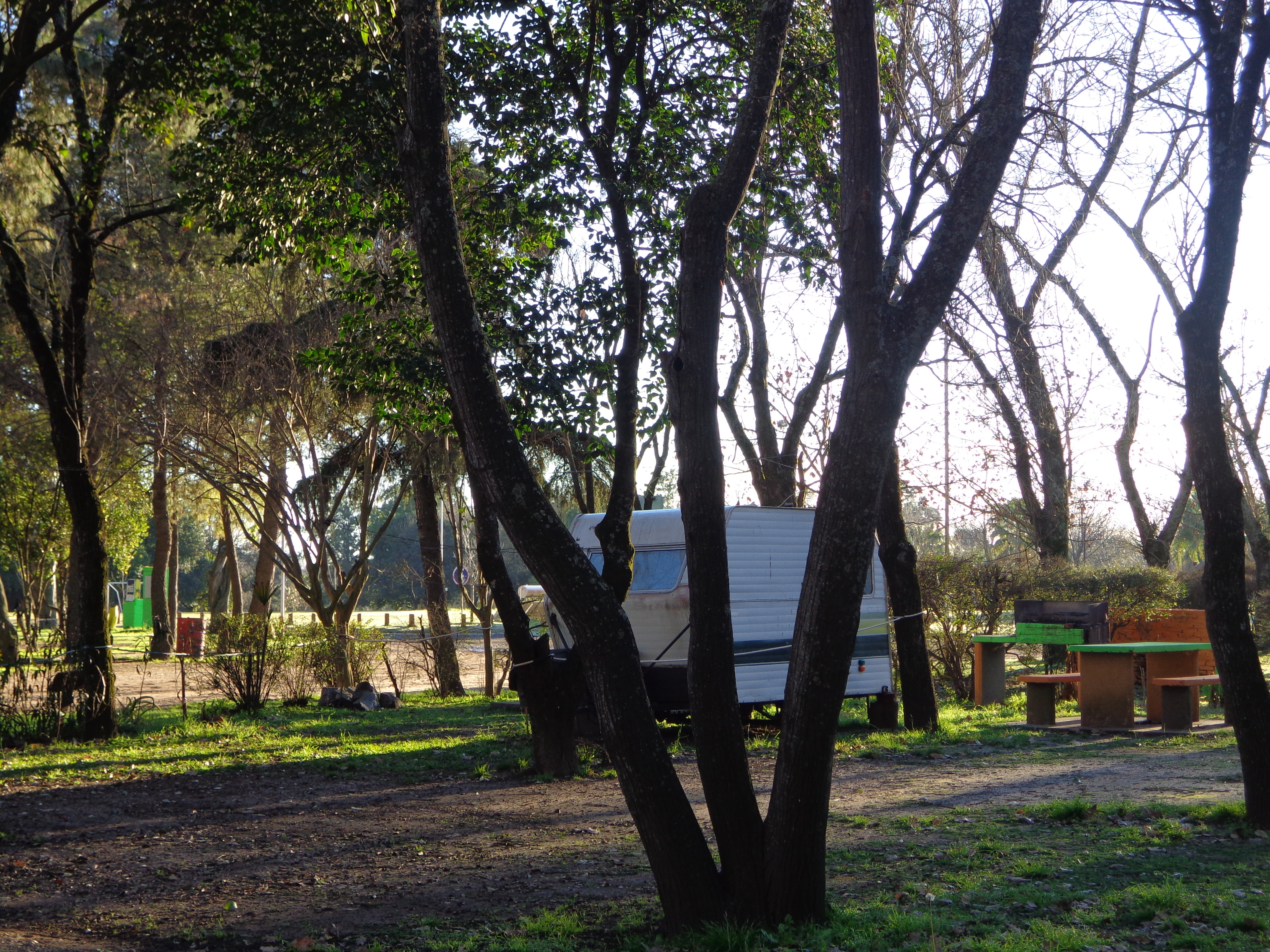 carcaraña 2017 063.jpg