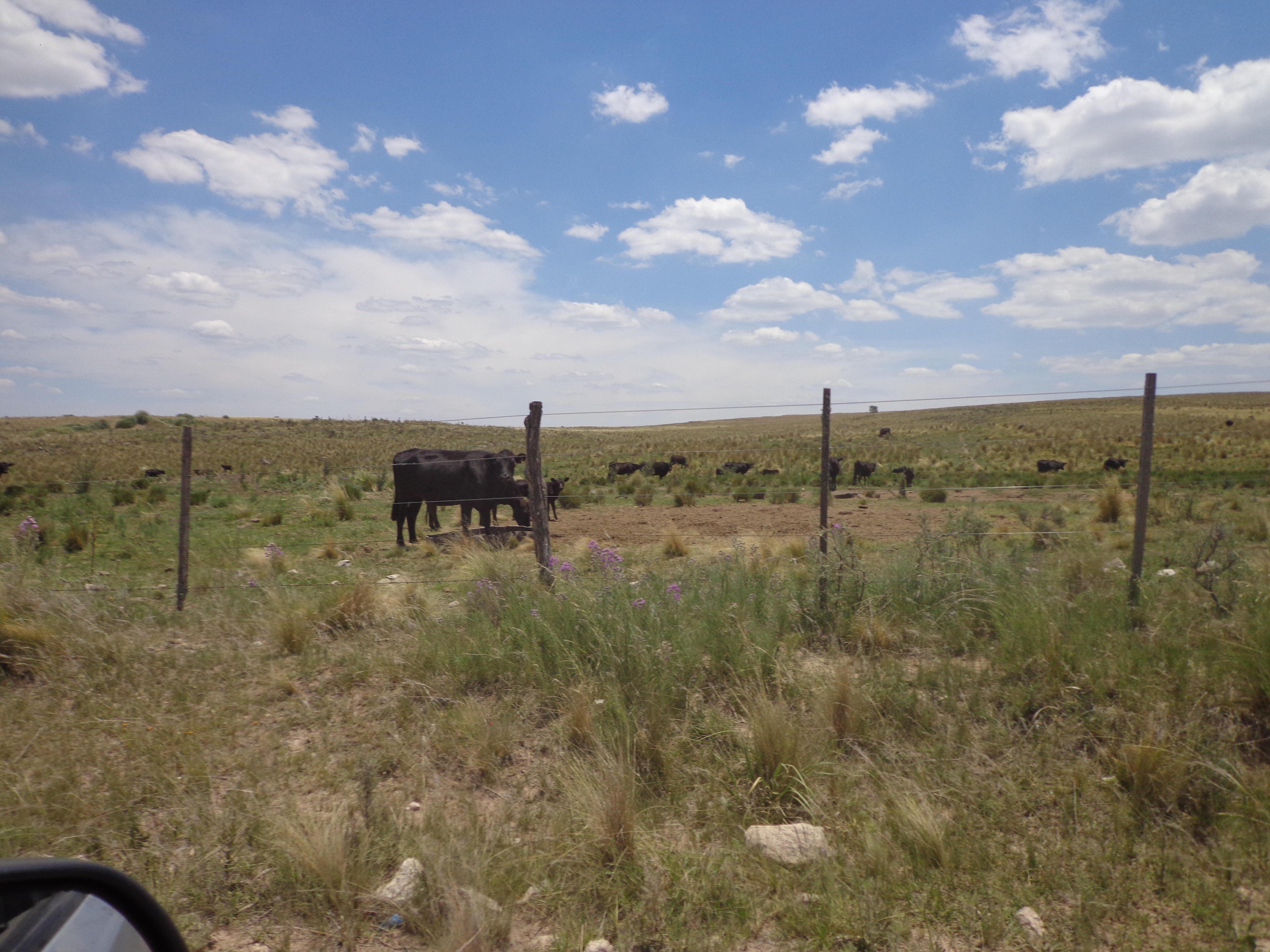 santa maria 2018 077.jpg