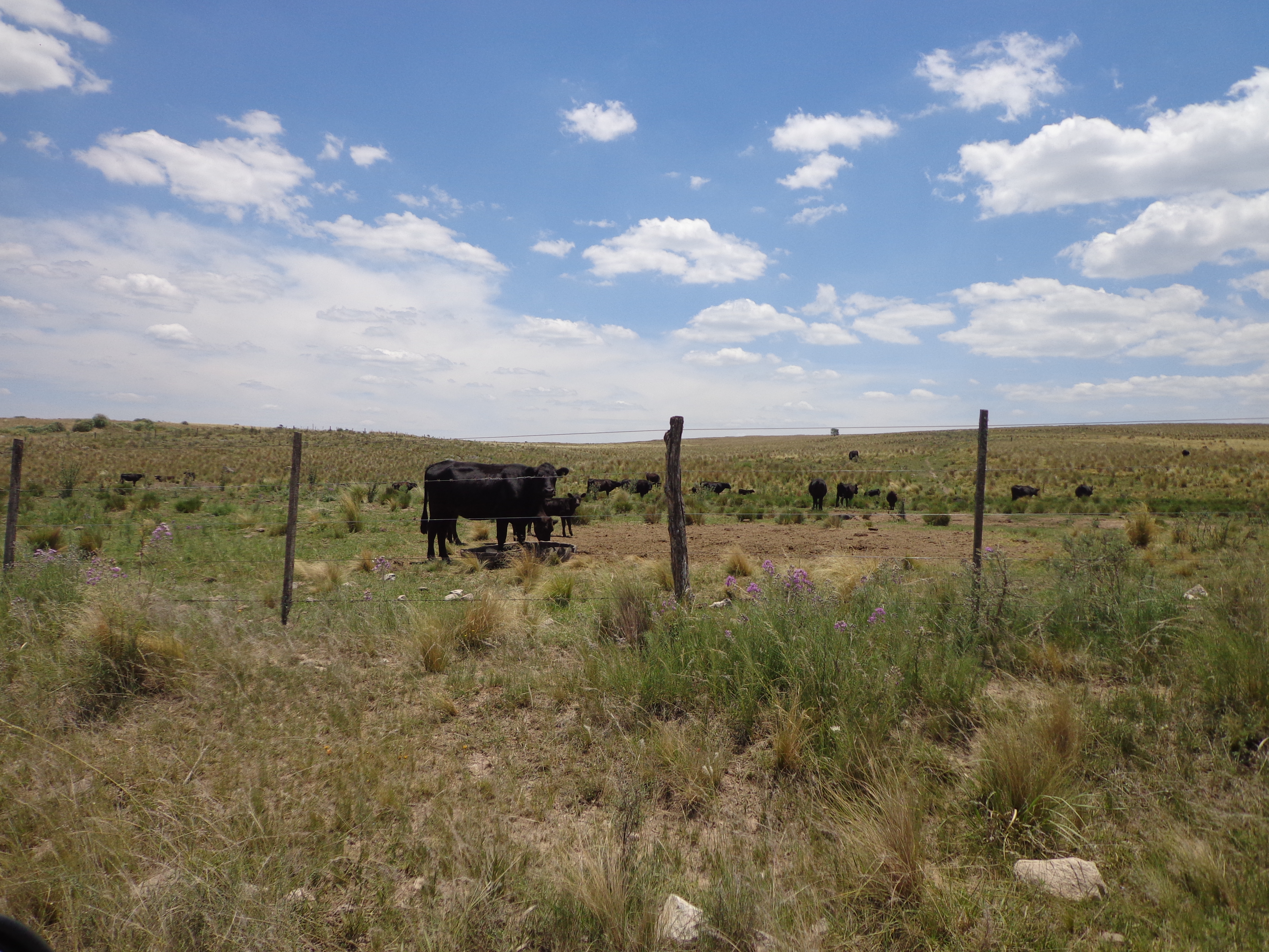 santa maria 2018 078.jpg