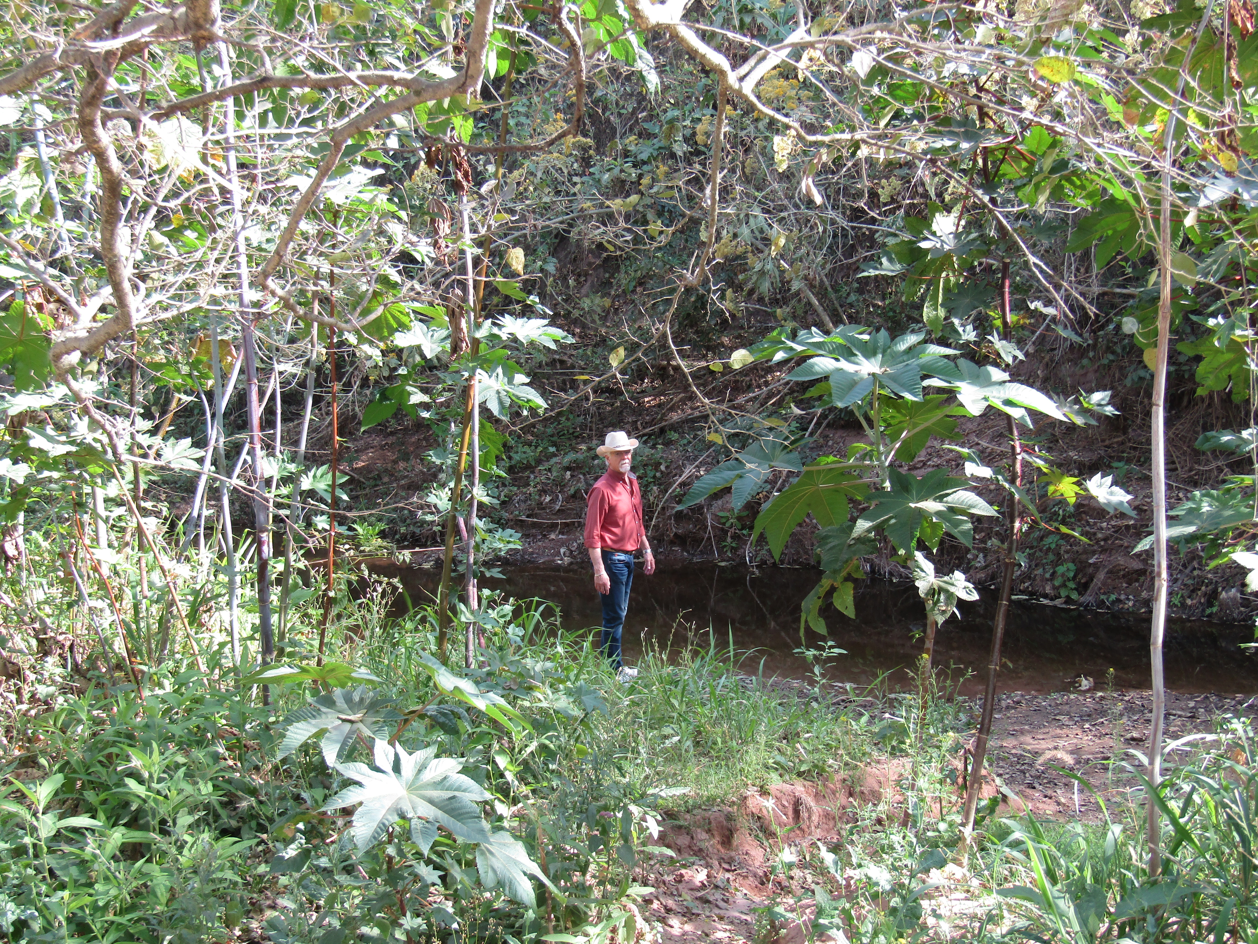 8- Termas de CAIMANCITO Jujuy. 15-9 (11).JPG