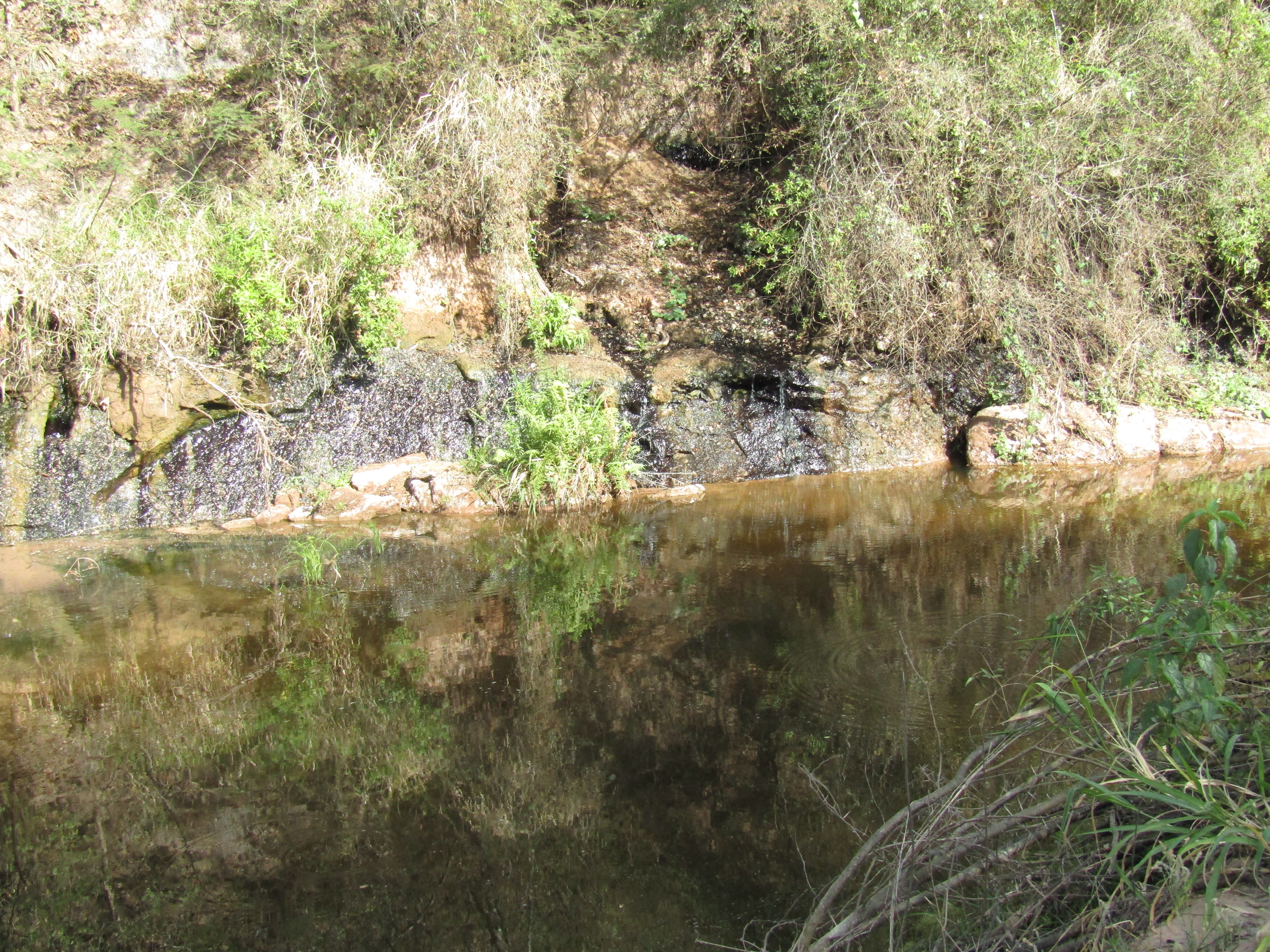 8- Termas de CAIMANCITO Jujuy. 15-9 (18).JPG