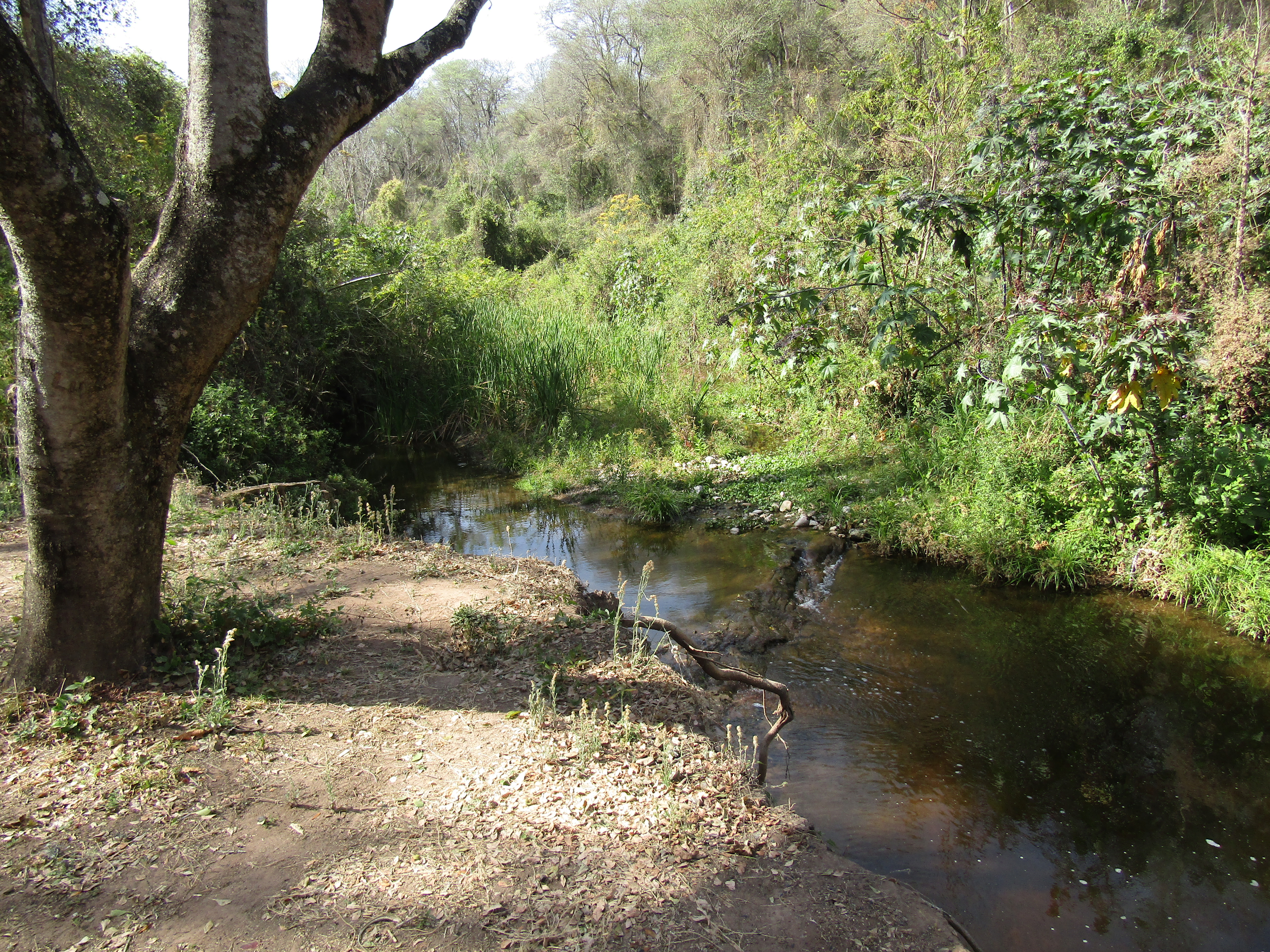 8- Termas de CAIMANCITO Jujuy. 15-9 (20).JPG