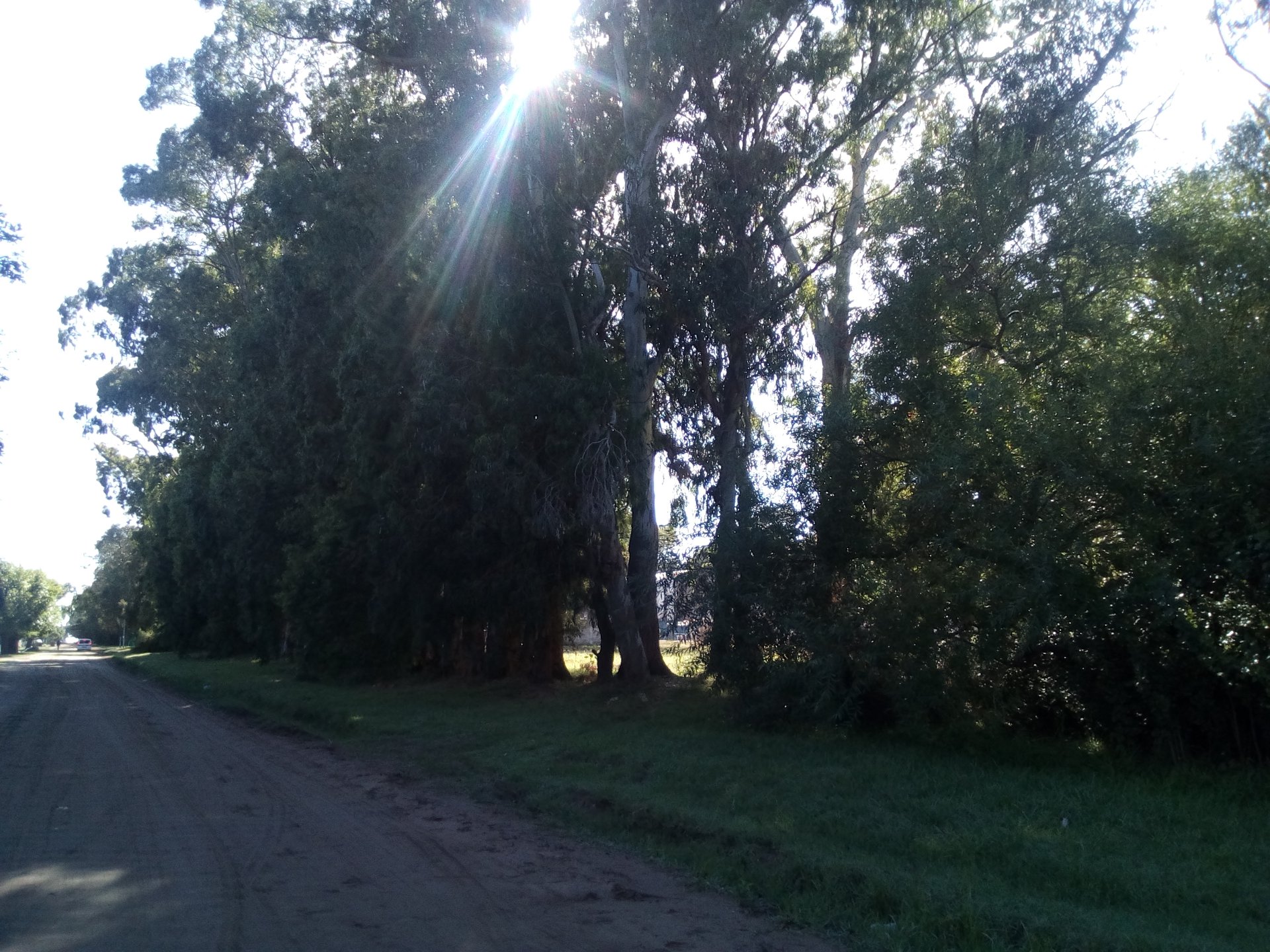 Reserva Natural de San Clemente 2019.jpg