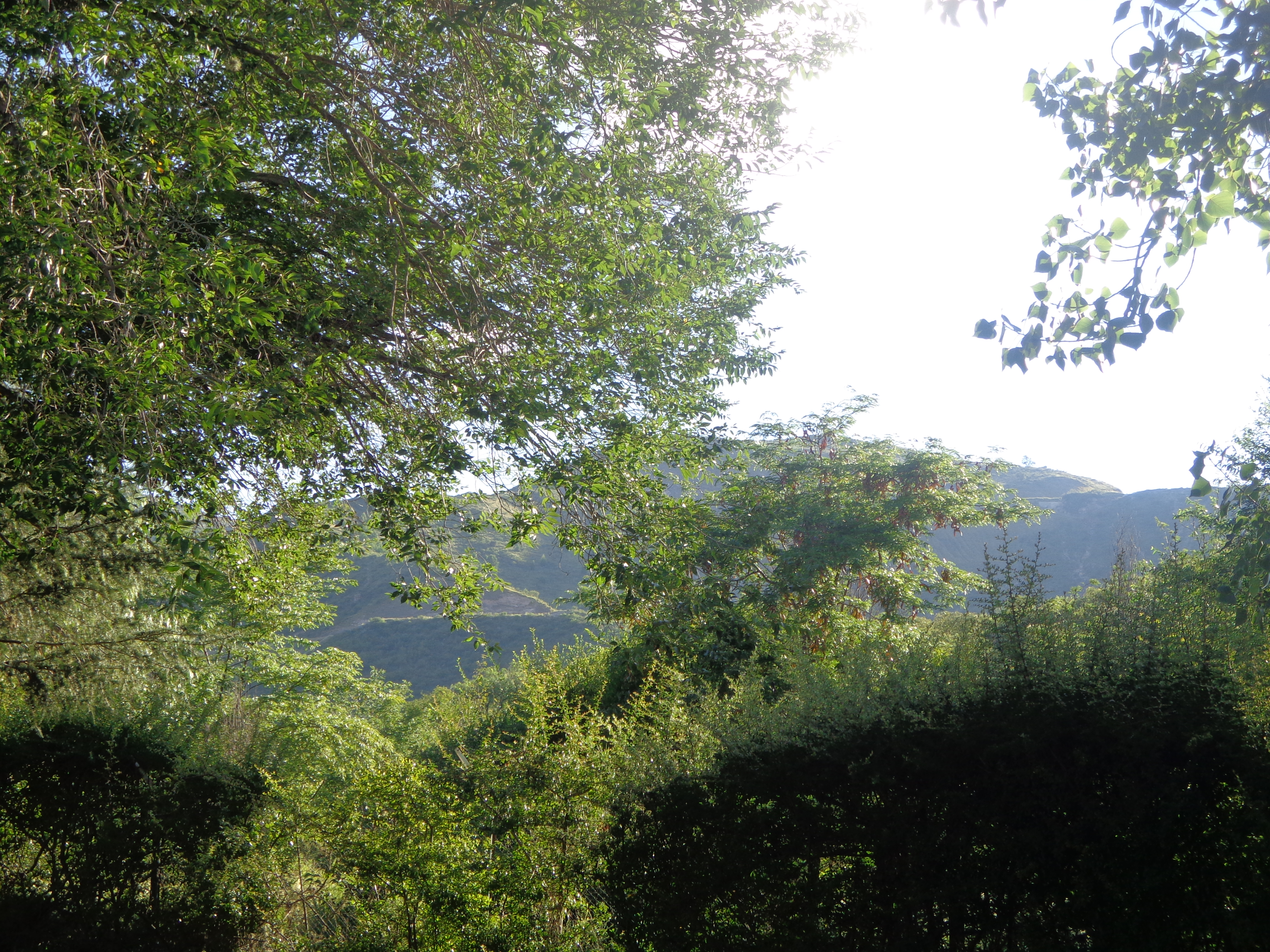 valle hermoso 1 239.jpg