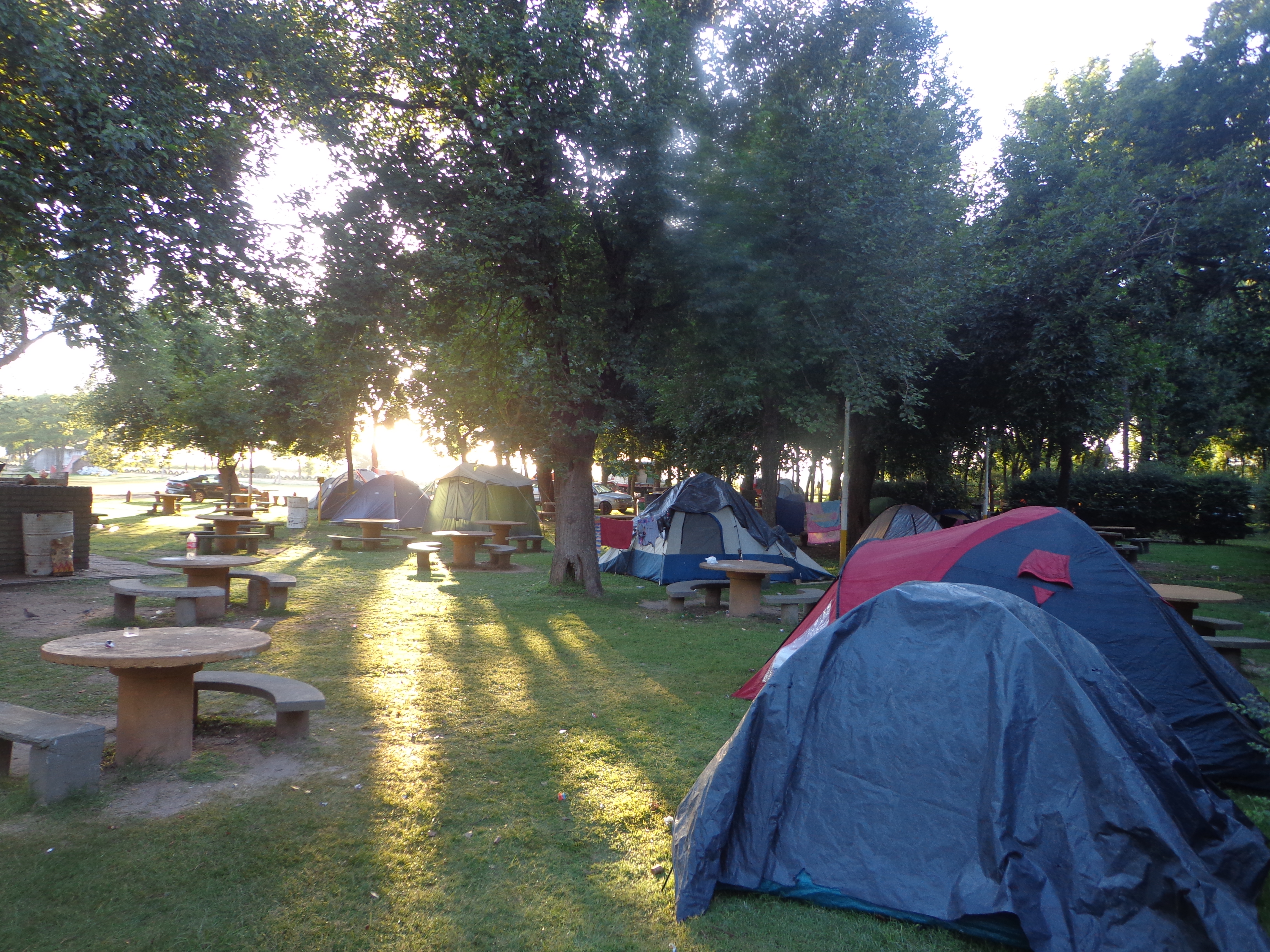 carcaraña enero 031.jpg