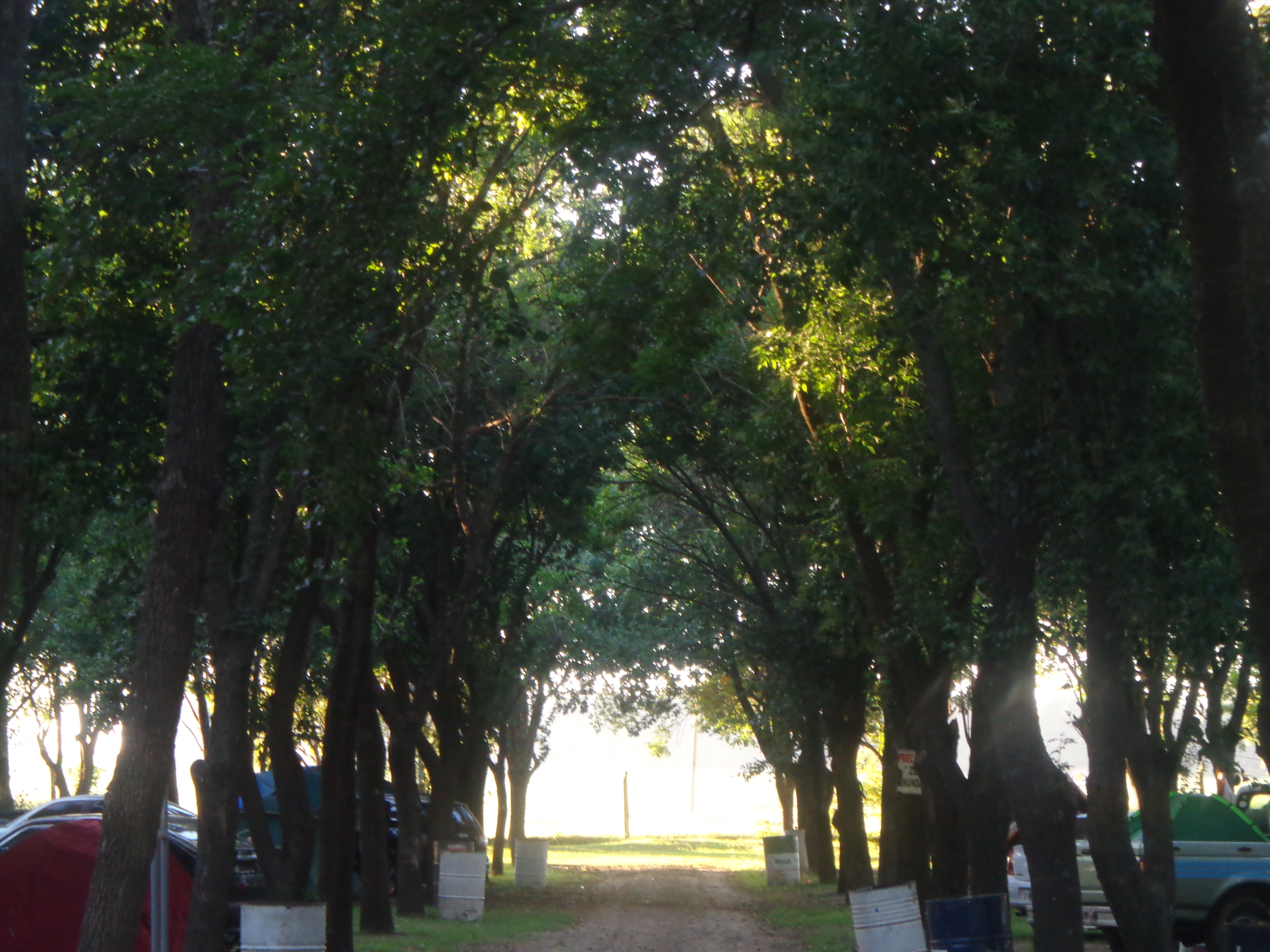 carcaraña enero 039.jpg