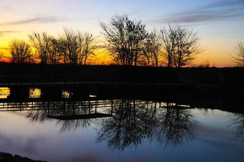 IMG_6476 [800x600].JPG