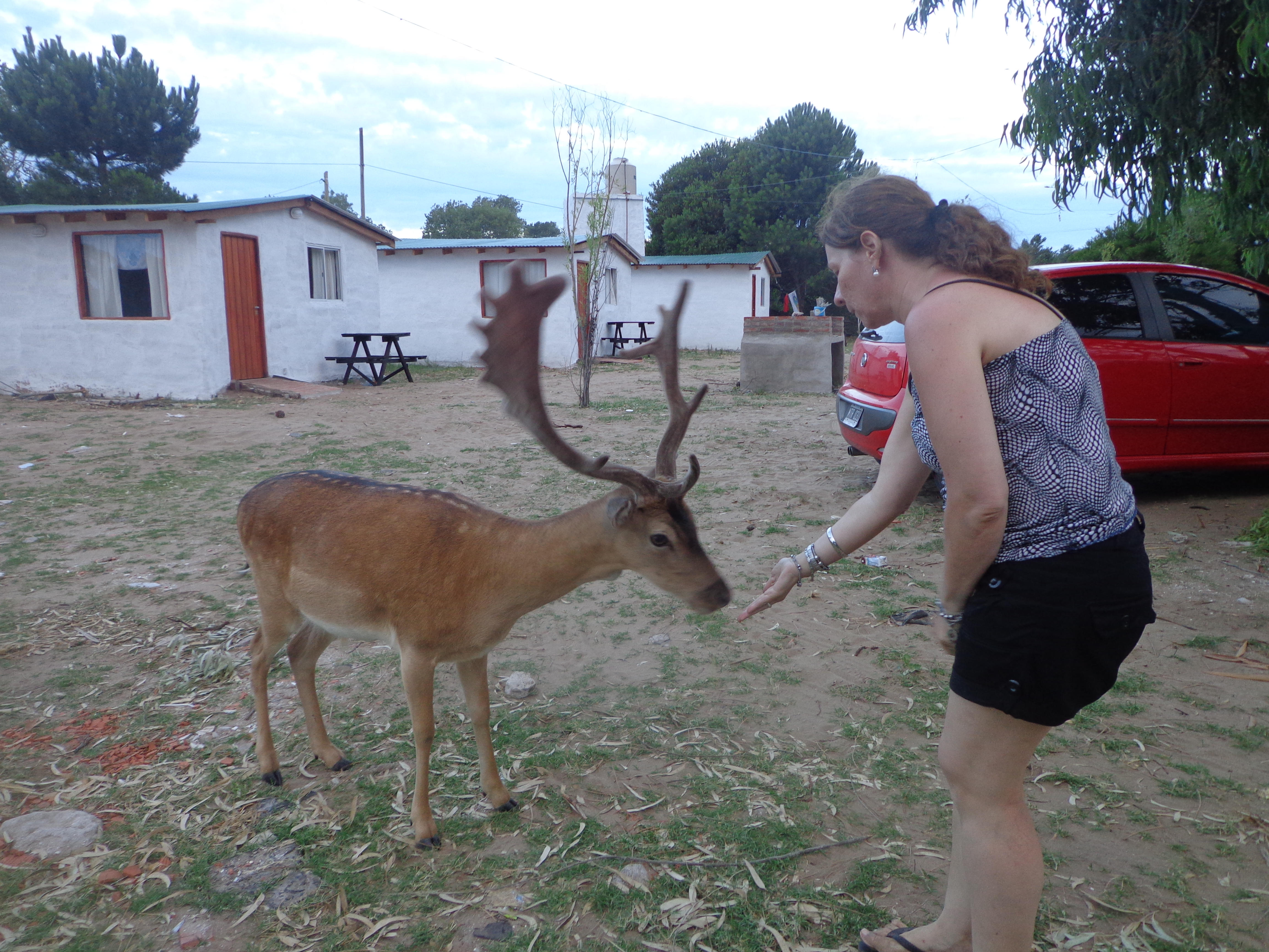 vacaciones 2014 021.jpg